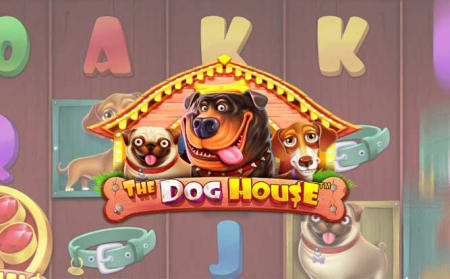 The Dog House